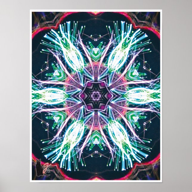 Pôster Tulipas Caleidoscópio (Frente)