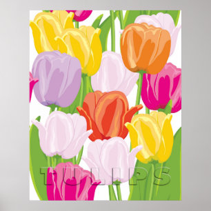 Poster Tulipas Coloridas