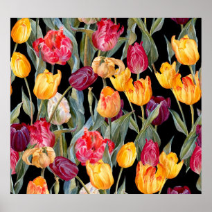 Poster Tulipas coloridas, fundo preto isolado.