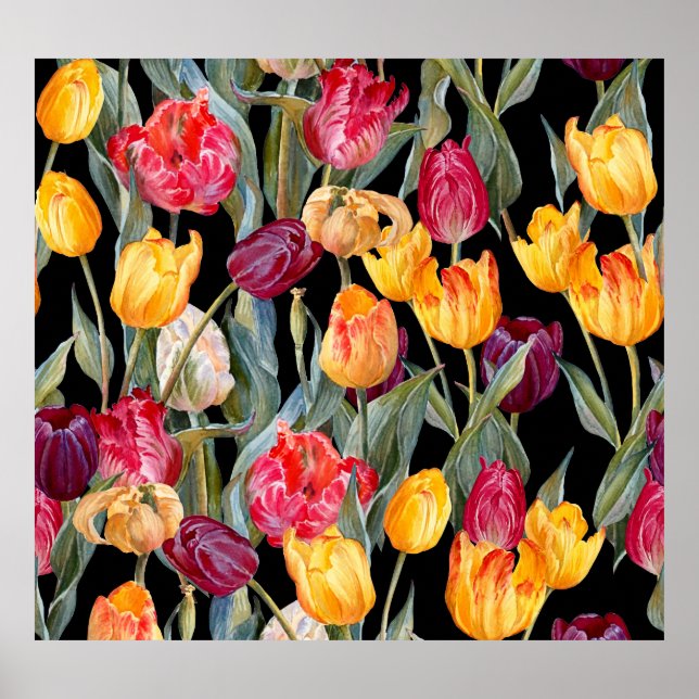 Poster Tulipas coloridas, fundo preto isolado. (Frente)