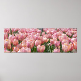 Poster Tulipas cor-de-rosa com beijos solares