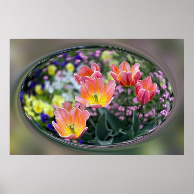Poster tulipas cor-de-rosa ouro (Frente)