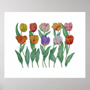 Poster Tulipas de primavera