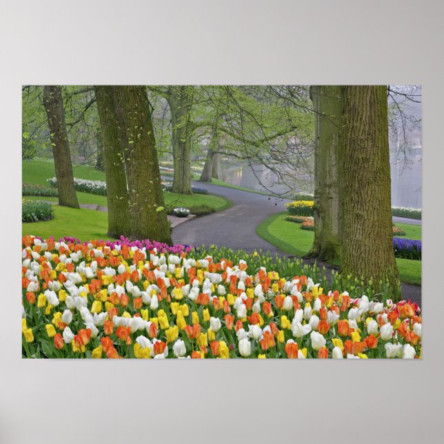 Pôster Tulipas e estradas, Jardins de Keukenhof, Lisse, (Frente)