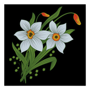 Pôster Tulipas e Narcisos Flores Fundo Preto