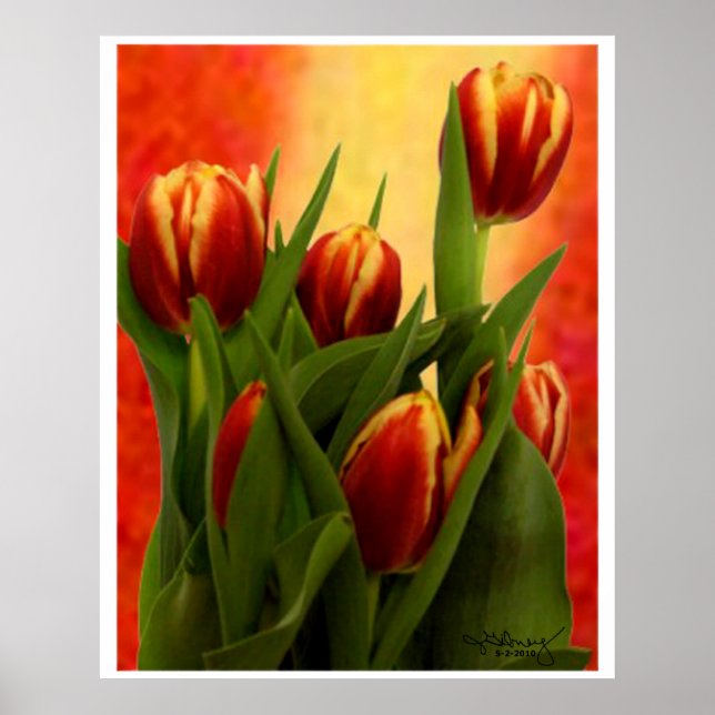 Pôster Tulipas - jGibney 2010 tulipas assinadas (Frente)
