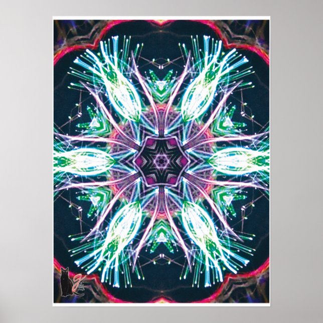 Pôster Túlipas Kaleidoscópio (Frente)