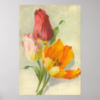 Tulipas por Catherine Klein