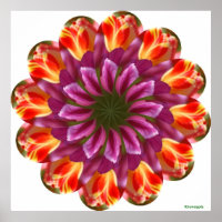 Tulipas púrpura, vermelha e amarela
