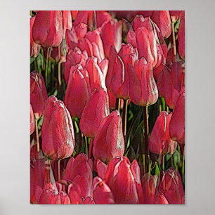 Poster Tulipas Rosa Floral