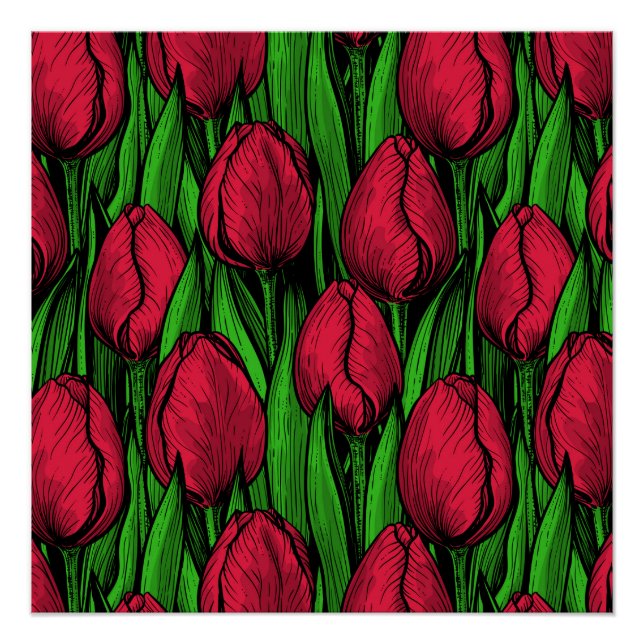 Pôster Tulipas vermelhas (Frente)