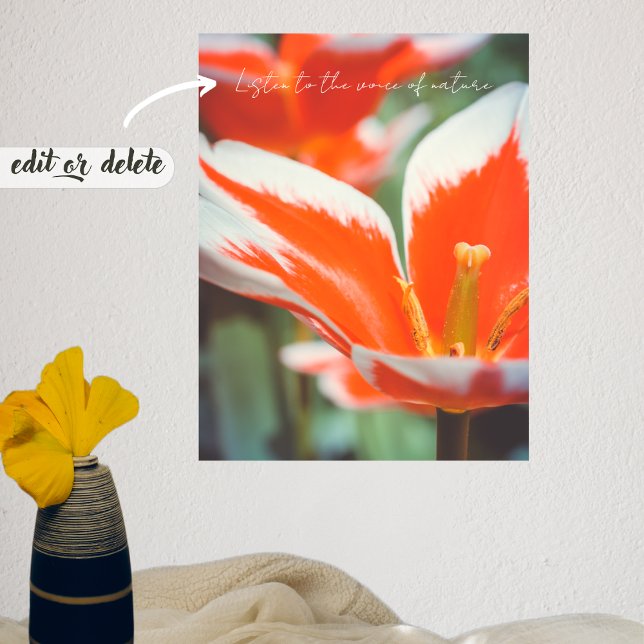 Poster Tulipas vermelhas (Criador carregado)