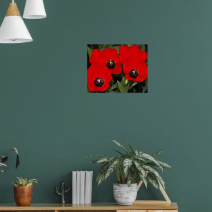 Poster Tulipas Vermelhas Brilhantes Fotografia Floral