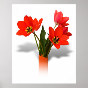 Poster Tulipas Vermelhas em Vase