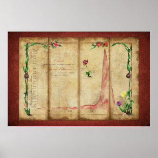 Pôster Tulipomania Graph (vermelho)