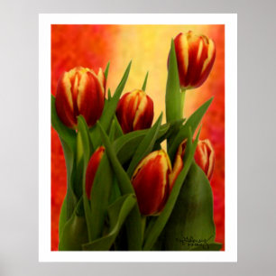 Pôster Tulips - jGibney 2010 The MUSEUM Zazzle Gifts