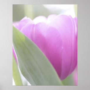 Pôster Tulips, Keukenhoff Gardens, Países Baixos.2