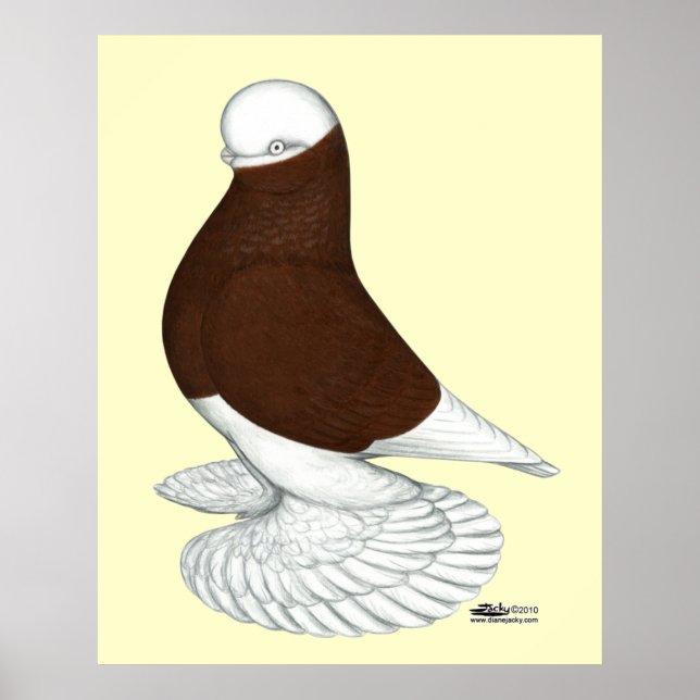 Poster Tumbler: Balde Vermelho Mufado (Frente)