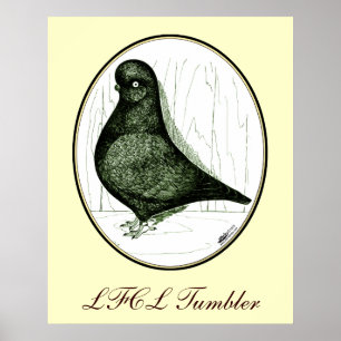 Poster Tumbler:  LFCL A Partir De 1978