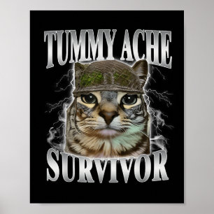 Poster Tummy Ache Survivor Engraçado Meme Gato