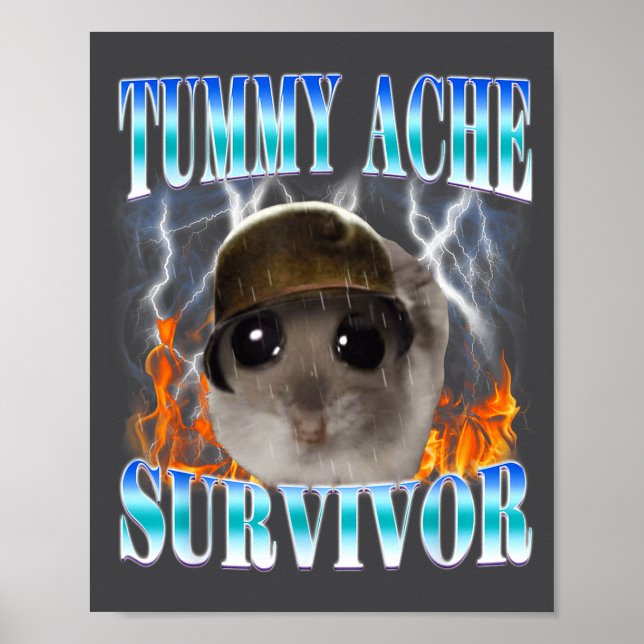Poster Tummy Ache Survivor Hamster Meme Funny Saying Hams (Frente)