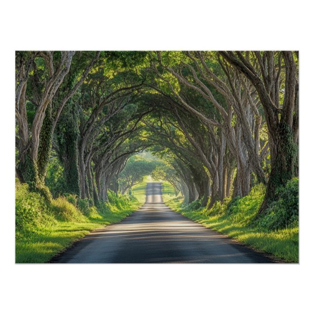 Pôster Túnel de Árvores Arte de Parede Fotografia Kauai (Frente)