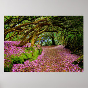 Pôster Túnel do rododendro de Kenmare -… - Personaliza