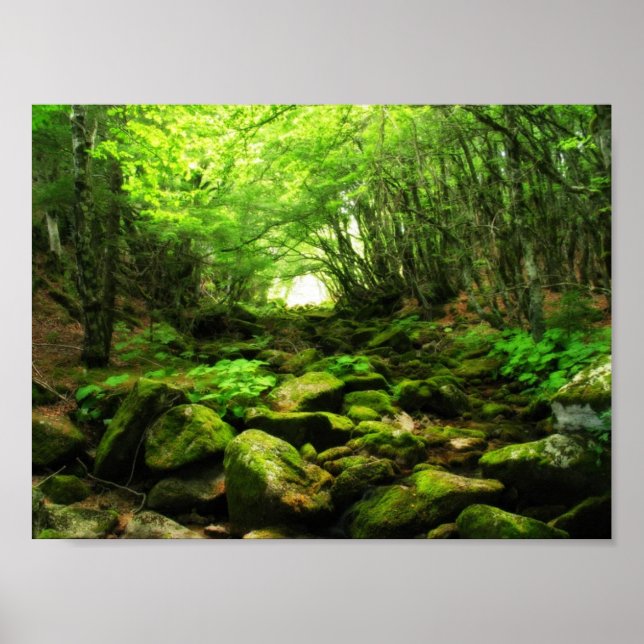 Poster Túnel Verde (Frente)