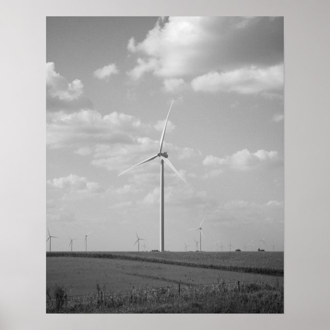 Poster Turbina de vento preto e branco em um campo 16x20 (Frente)
