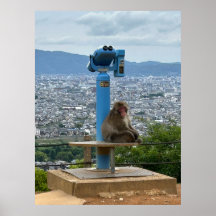 Turístico Escape