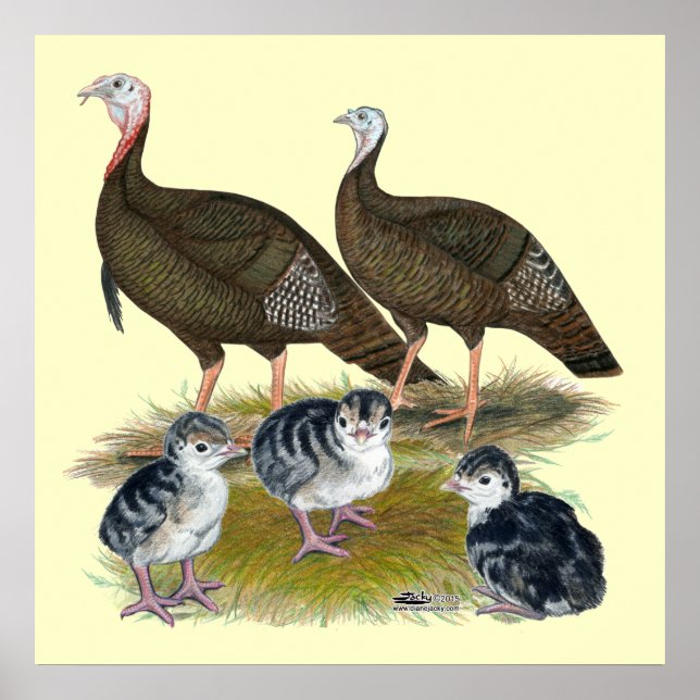 Pôster Turkeys East Wild Family (Frente)