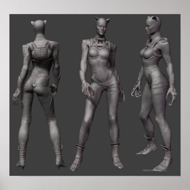 Poster Turnround Alternativo da Mulher-Gato (Frente)