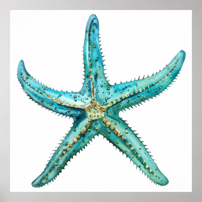 Poster  Turquoise starfish (Frente)