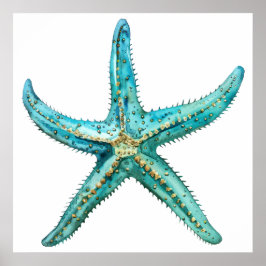 Poster  Turquoise starfish  24 x 24