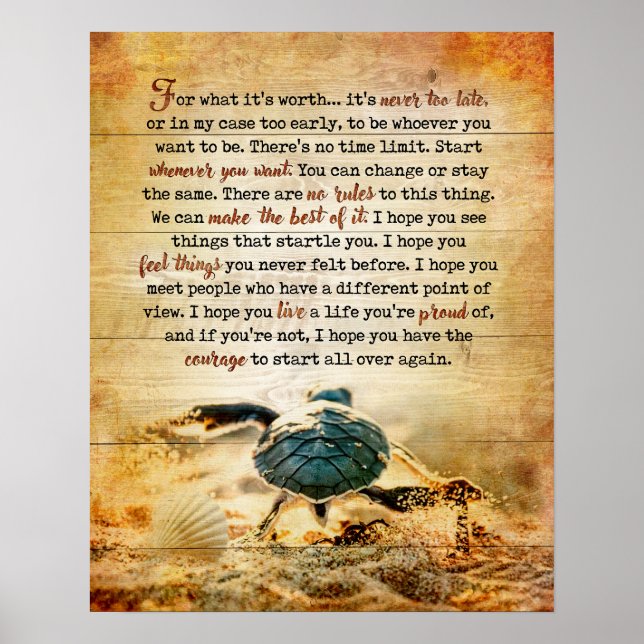 Poster Turtle For What Inspirational & Motivational (Frente)