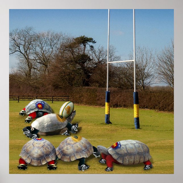 Pôster Turtle Rugby (Frente)