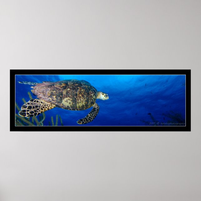 Poster Turtle Seascape (Frente)