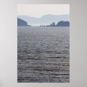 Poster Turtle, Spectacle e Monte Desert Islands, Maine