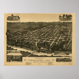 Pôster Tuscaloosa Alabama 1887 mapas panorâmicos