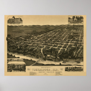 Poster Tuscaloosa, vintage panorâmico 1887 do mapa do AL