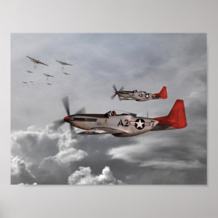 Pôster Tuskegee Airmen
