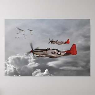Pôster Tuskegee Airmen