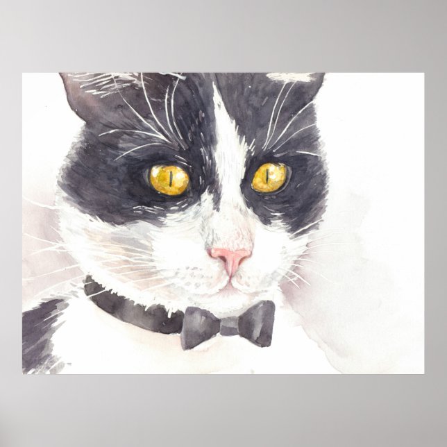 Poster Tuxedo cat (Frente)