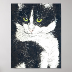 Poster Tuxedo cat