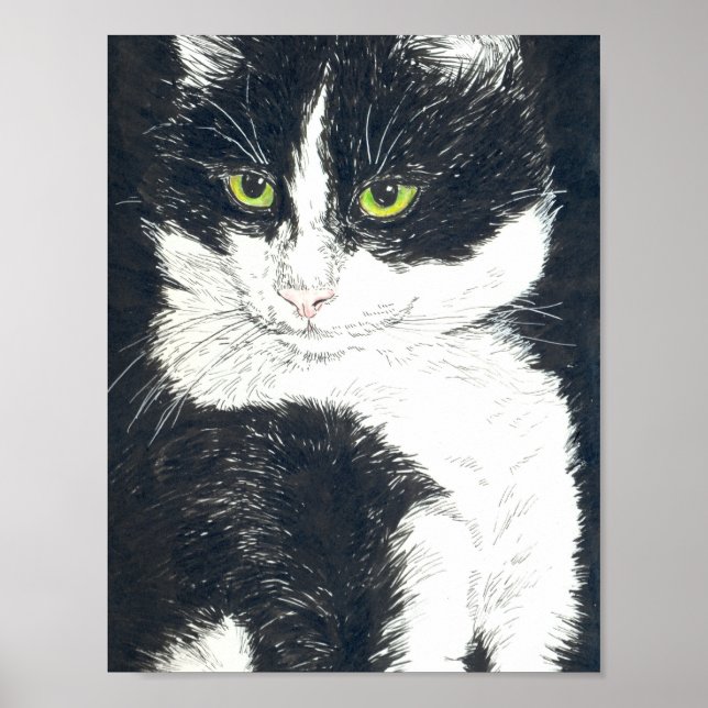 Poster Tuxedo cat (Frente)