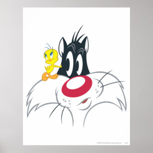 Pôster Tweety In Action Pose 12