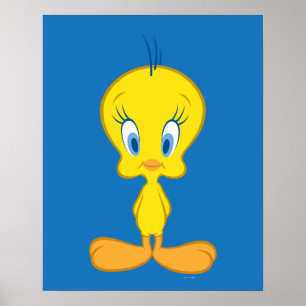 Poster TWEETY™ Passarinho Inocente