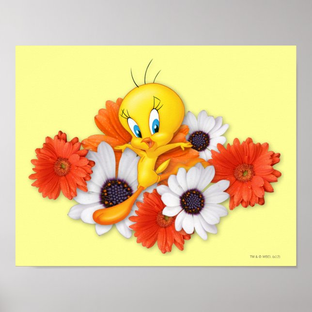 Pôster Tweety with Daisies (Frente)