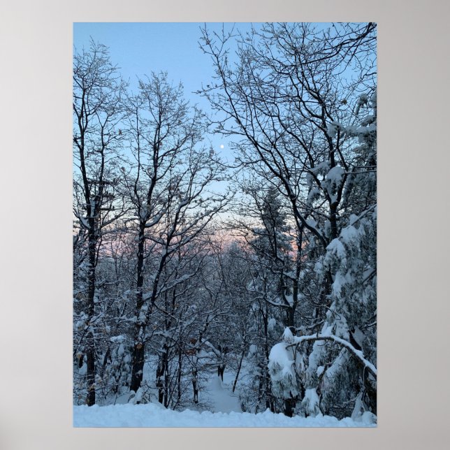 Poster Twin Peaks Snowy Moon (Frente)