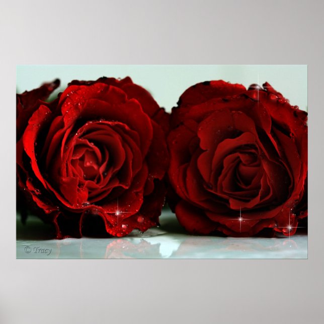 Pôster Twins (Frente)